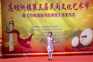 高坝洲镇 举办第三届民间文化艺术节 图